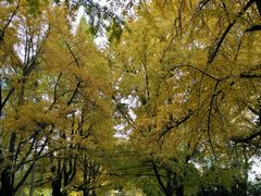 -四川大学(华西校区)