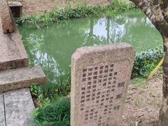 -长兴太湖图影湿地文化园