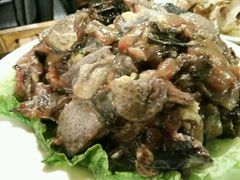 -易门野生菌府·菌海森林(月牙潭公园店)