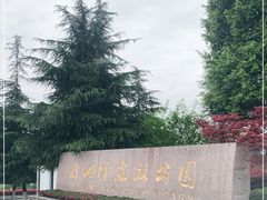 -铁山坪森林公园