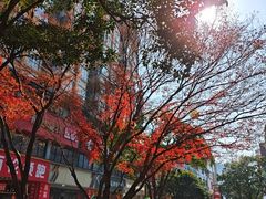 -黄兴南路步行商业街