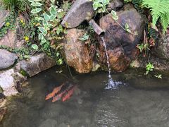 -桐君山春江扬帆码头