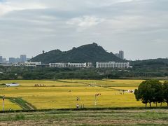 -光明小镇欢乐田园