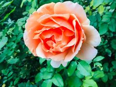 -长辛店二七公园