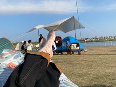 -春花秋色城市公园