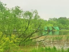-西湖风景区-江洋畈生态公园