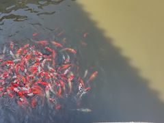 -荆州博物馆