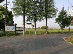 -大莲湖农家乐(青西郊野公园店)