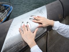 -星光大道
