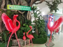 -正佳雨林生态植物园