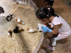 -宝燕乐园(闵行旗舰店)