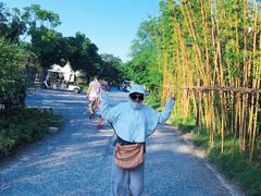 -田园东方蜜桃村的田野营地