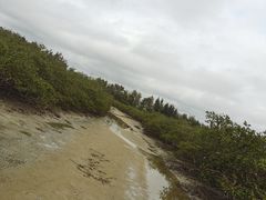 -北海金海湾红树林生态旅游区