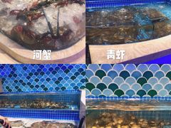 -乔哥铭洋海鲜自助(皇城恒隆广场店)