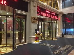 -维也纳国际酒店（上海旅游度假区浦东机场店）-停车点