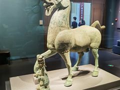 -广西壮族自治区博物馆