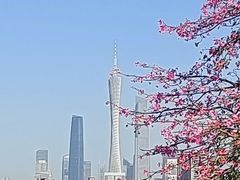 -海珠湖公园