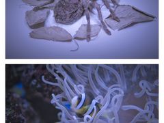 -上海自然博物馆