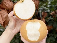 -郴州特产舜华临武鸭(郴州西站店)