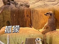 -正佳雨林生态植物园