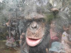 -合肥野生动物园