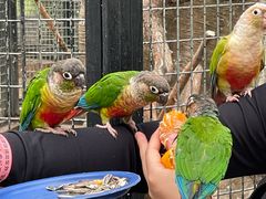 -北京野生动物园