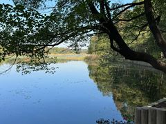 -东湖落雁景区