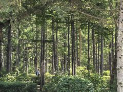 -长春市南湖公园