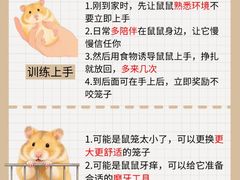 -FAELING PETS美天灵宠物(合生汇店)