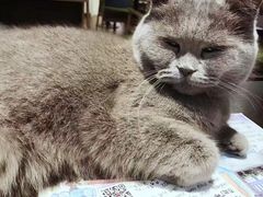 -花与咖啡馆(金星楼店)
