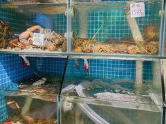 水产区-船奇蒸汽海鲜·闽菜(八市海鲜总店)