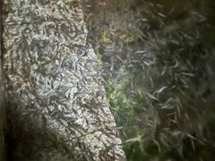 -麦积山温泉