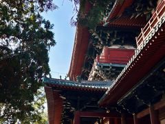-隆兴寺