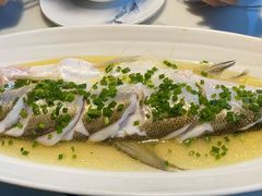 招牌清蒸钱塘江白条-柳莺湖上·湖景餐厅·江南菜(西湖店)