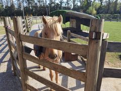 -前小桔亲子创意农场·草莓采摘·露营烧烤