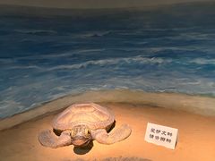 -嘉定博物馆