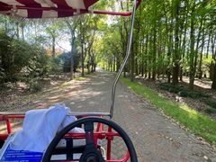 -上海海湾国家森林公园