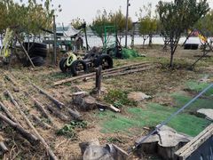 -西青郊野公园