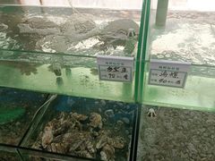 -雅逸居海鲜小厨