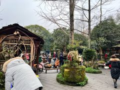 -青城甲(青城山店)