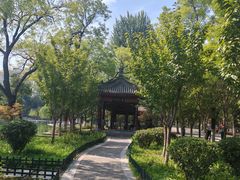 -莲湖公园