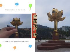 -金莲花广场