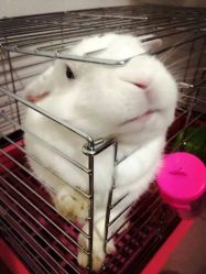 -奇文堂专业纹身馆