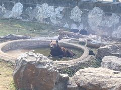 -无锡动物园·太湖欢乐园
