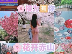 -石岛赤山风景区