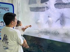 -南昌海洋公园