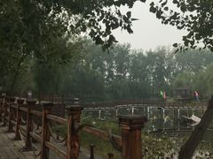 -微山湖红荷湿地景区