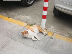 -招商银行(上海分行营业部)