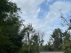 -海南热带野生动植物园