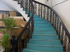 -翊宠yipet猫狗购宠庄园犬舍•猫舍